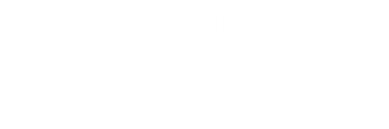 Vízum.sk - Migračné a vízové poradenstvo - logo